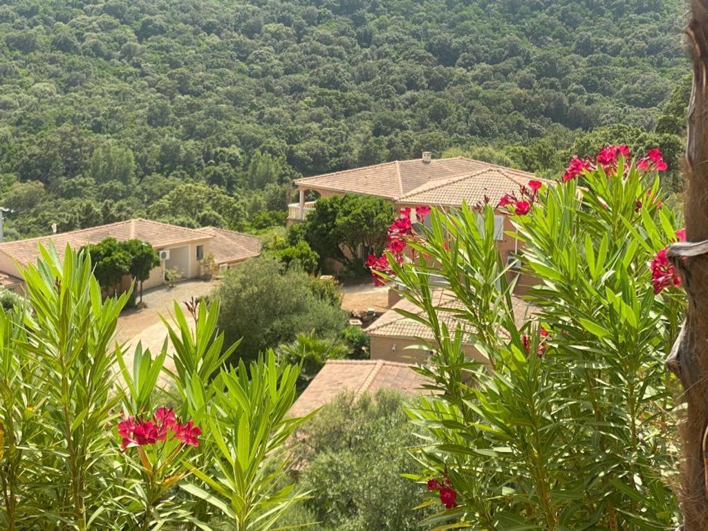 Hotel Via Mare Sainte-Lucie de Porto-Vecchio Zewnętrze zdjęcie